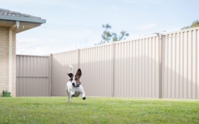 Fencing Solutions for Pet Owners in Cache Valley: Keeping Your Pets Secure and Happy