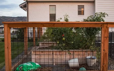 How to Extend the Life of Your Fence with Minimal Effort