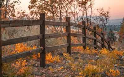 How to Spot Red Flags When Vetting Fence Installers