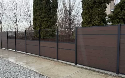 Pet-Proof Your Yard: Common Fence Problems and Smart Solutions