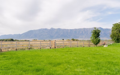 Building a Safer Place to Play for the Dogs at Cache Humane Society